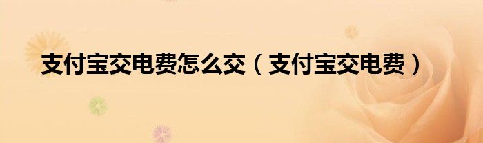 支付宝交电费怎么交（支付宝交电费）
