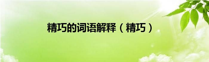 精巧的词语解释（精巧）