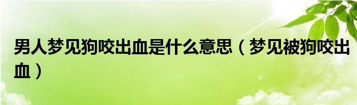 男人梦见狗咬出血是什么意思（梦见被狗咬出血）