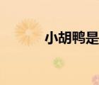 小胡鸭是哪里的品牌（小胡鸭）