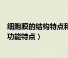 细胞膜的结构特点和功能特点的比较（细胞膜的结构特点和功能特点）