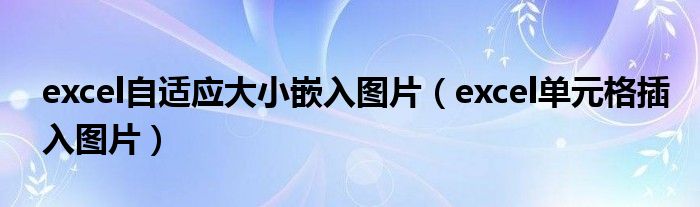 excel自适应大小嵌入图片（excel单元格插入图片）