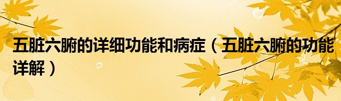 五脏六腑的详细功能和病症（五脏六腑的功能详解）