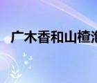广木香和山楂泡水喝有什么功效（广木香）