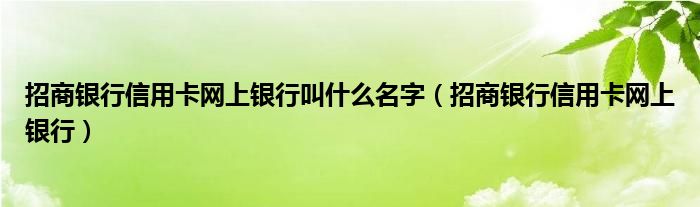 招商银行信用卡网上银行叫什么名字（招商银行信用卡网上银行）
