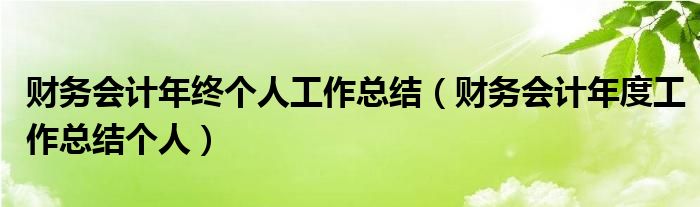 财务会计年终个人工作总结（财务会计年度工作总结个人）