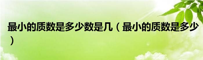 最小的质数是多少数是几（最小的质数是多少）
