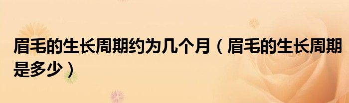 眉毛的生长周期约为几个月（眉毛的生长周期是多少）