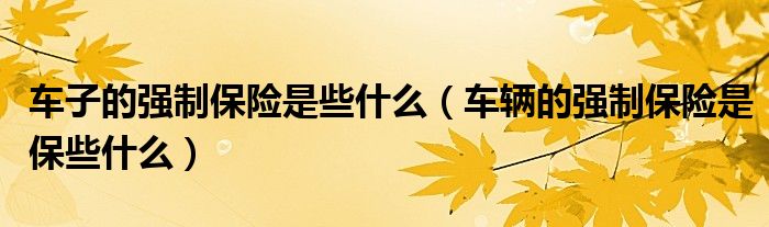 车子的强制保险是些什么（车辆的强制保险是保些什么）