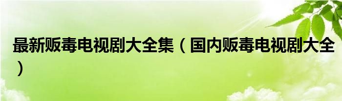 最新贩毒电视剧大全集（国内贩毒电视剧大全）