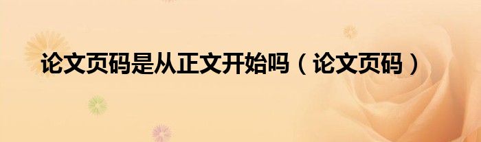 论文页码是从正文开始吗（论文页码）