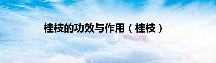 桂枝的功效与作用（桂枝）