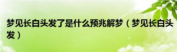 梦见长白头发了是什么预兆解梦（梦见长白头发）
