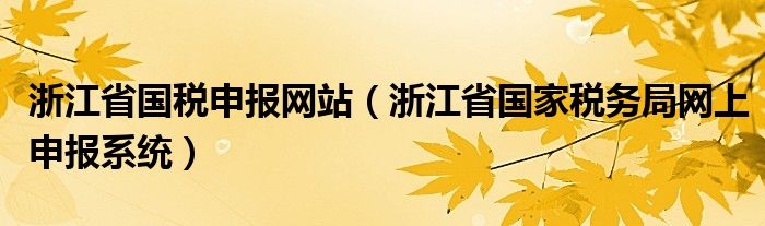 浙江省国税申报网站（浙江省国家税务局网上申报系统）