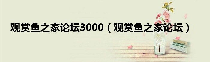 观赏鱼之家论坛3000（观赏鱼之家论坛）