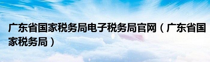 广东省国家税务局电子税务局官网（广东省国家税务局）