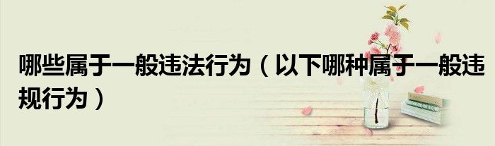 哪些属于一般违法行为（以下哪种属于一般违规行为）