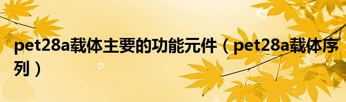 pet28a载体主要的功能元件（pet28a载体序列）