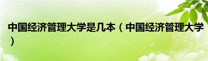 中国经济管理大学是几本（中国经济管理大学）