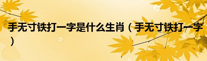 手无寸铁打一字是什么生肖（手无寸铁打一字）