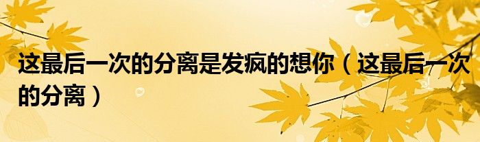 这最后一次的分离是发疯的想你（这最后一次的分离）
