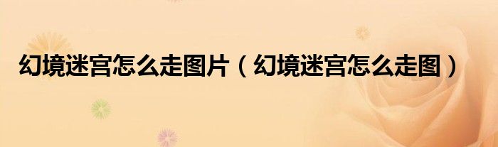 幻境迷宫怎么走图片（幻境迷宫怎么走图）