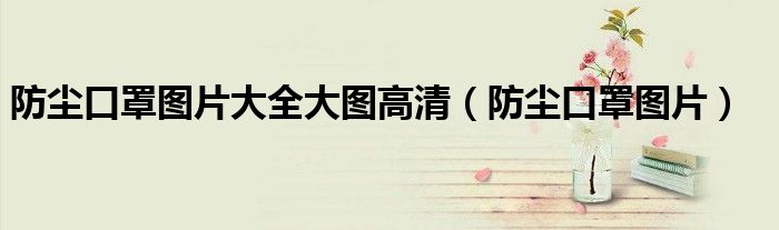 防尘口罩图片大全大图高清（防尘口罩图片）