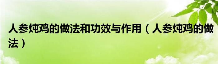 人参炖鸡的做法和功效与作用（人参炖鸡的做法）