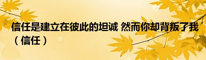 信任是建立在彼此的坦诚 然而你却背叛了我（信任）