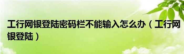 工行网银登陆密码栏不能输入怎么办（工行网银登陆）