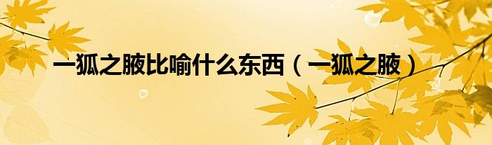 一狐之腋比喻什么东西（一狐之腋）