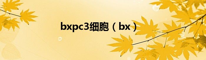 bxpc3细胞（bx）