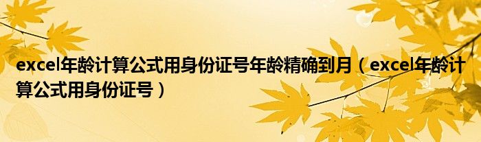 excel年龄计算公式用身份证号年龄精确到月（excel年龄计算公式用身份证号）