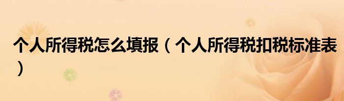 个人所得税怎么填报（个人所得税扣税标准表）