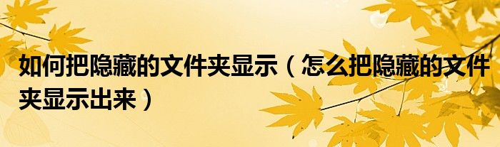 如何把隐藏的文件夹显示（怎么把隐藏的文件夹显示出来）