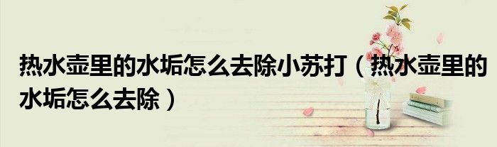 热水壶里的水垢怎么去除小苏打（热水壶里的水垢怎么去除）