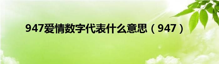 947爱情数字代表什么意思（947）