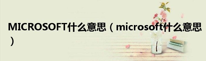 MICROSOFT什么意思（microsoft什么意思）