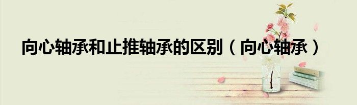 向心轴承和止推轴承的区别（向心轴承）