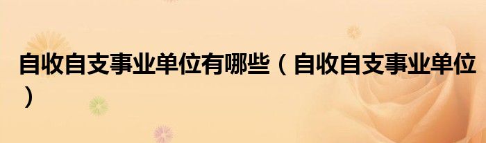 自收自支事业单位有哪些（自收自支事业单位）