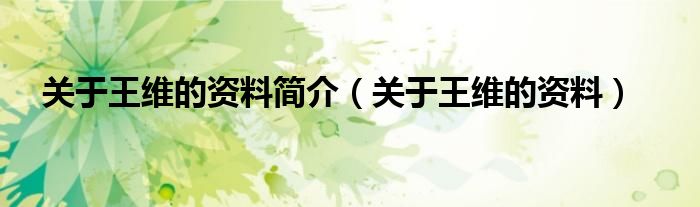 关于王维的资料简介（关于王维的资料）