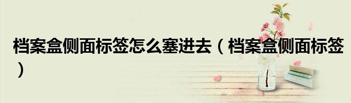 档案盒侧面标签怎么塞进去（档案盒侧面标签）