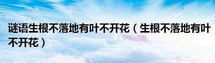 谜语生根不落地有叶不开花（生根不落地有叶不开花）
