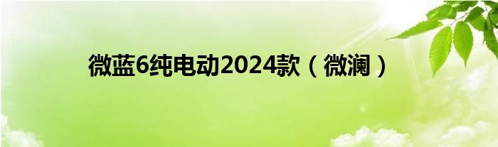 微蓝6纯电动2024款（微澜）