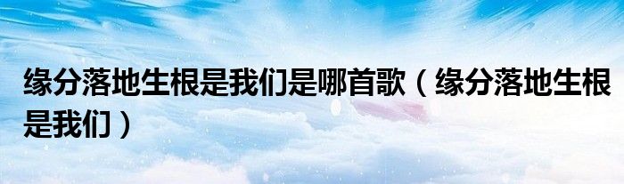 缘分落地生根是我们是哪首歌（缘分落地生根是我们）