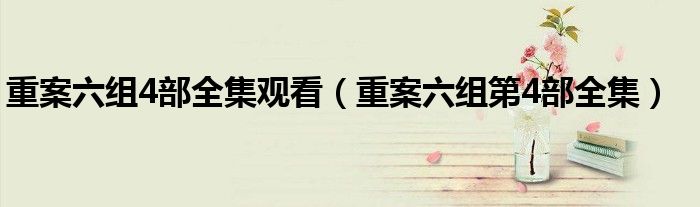 重案六组4部全集观看（重案六组第4部全集）