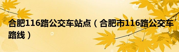 合肥116路公交车站点（合肥市116路公交车路线）