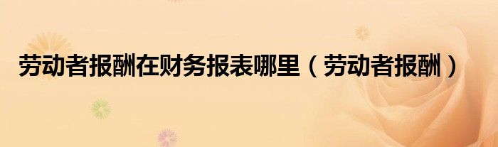 劳动者报酬在财务报表哪里（劳动者报酬）