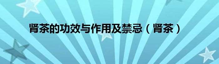 肾茶的功效与作用及禁忌（肾茶）