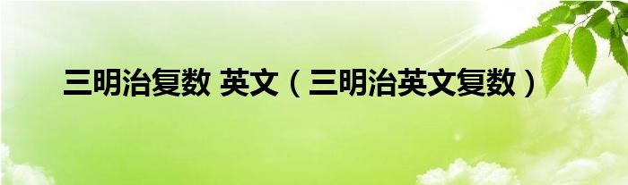 三明治复数 英文（三明治英文复数）